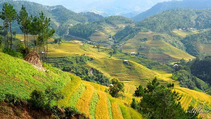 bán đất Trại Mát Đà Lạt - 1