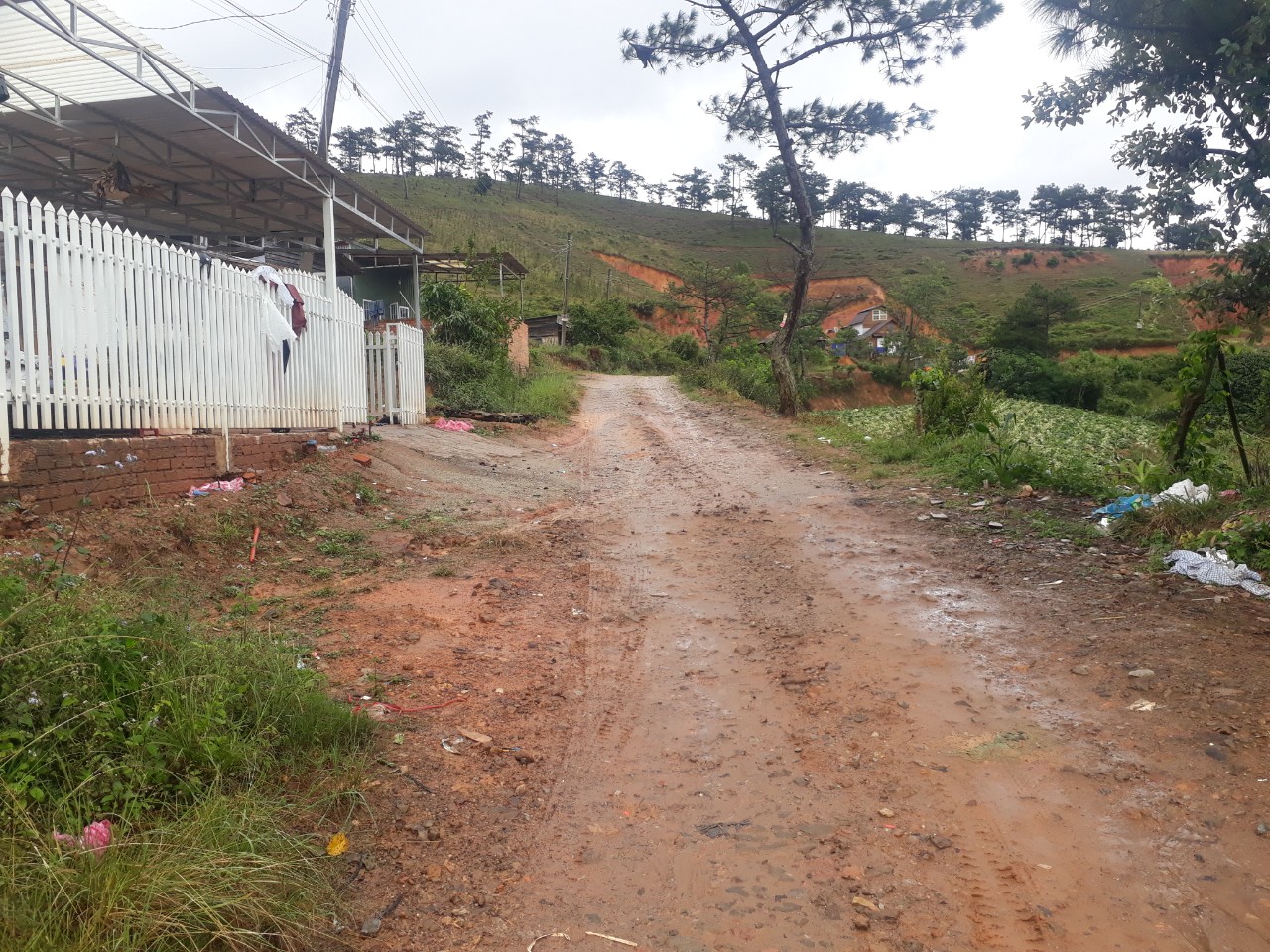 Bán đất Măng Lin Đà Lạt - 4