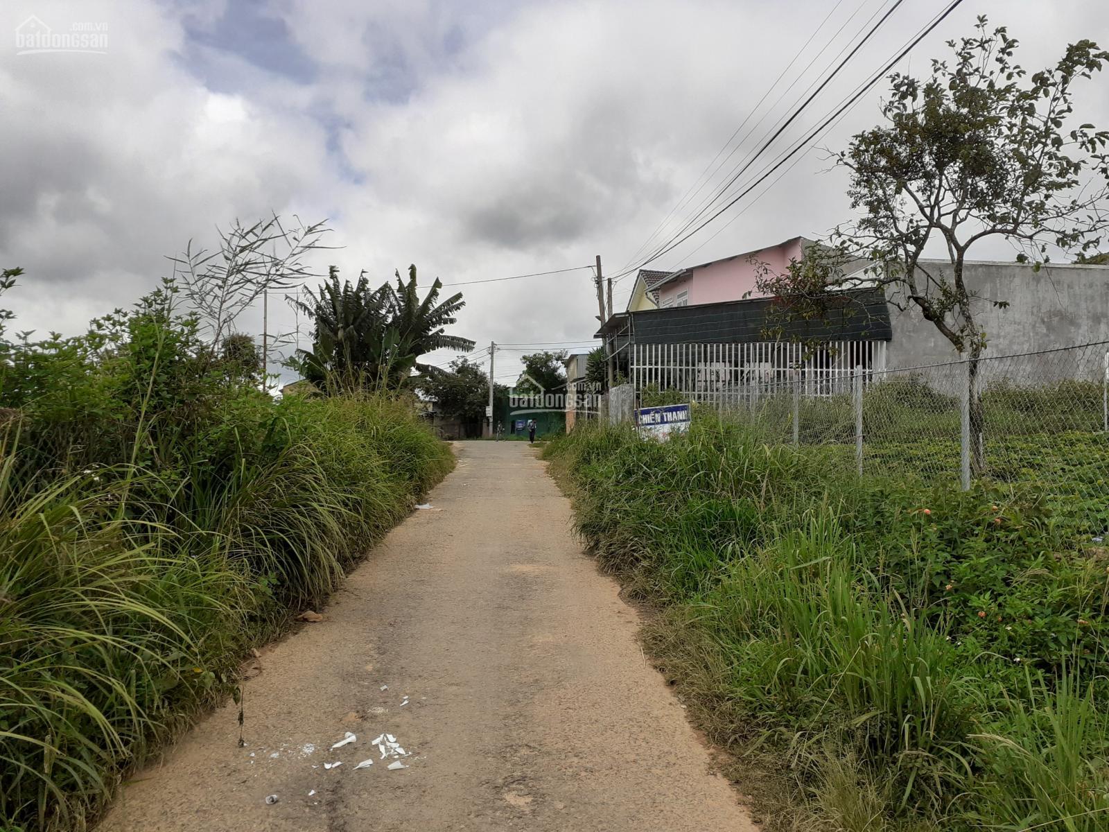 Bán đất Măng Lin Đà Lạt - 1