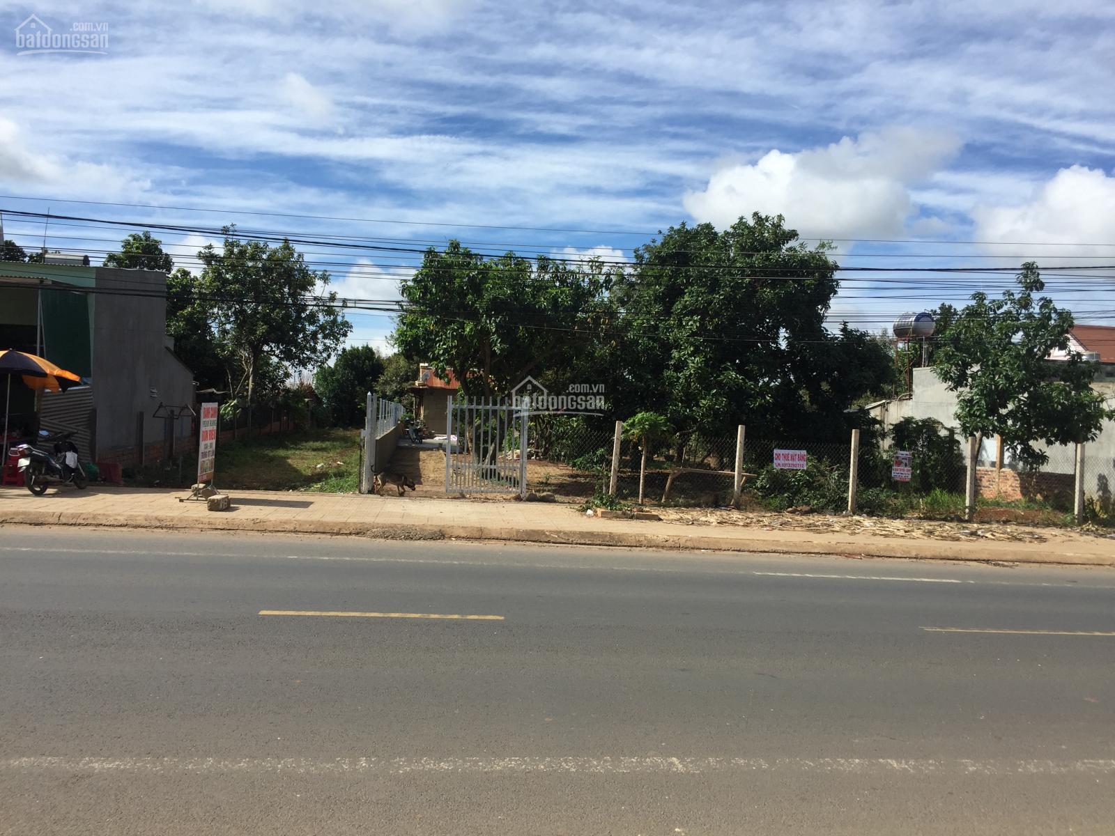 Cho thuê đất Đà Lạt - 2