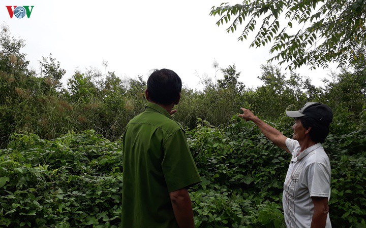 Tranh chấp đất đai có sổ đỏ - 3