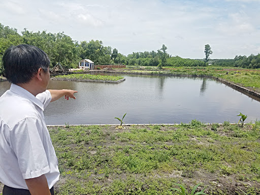 Đất ao lấn chiến được cấp sổ đỏ không - 1