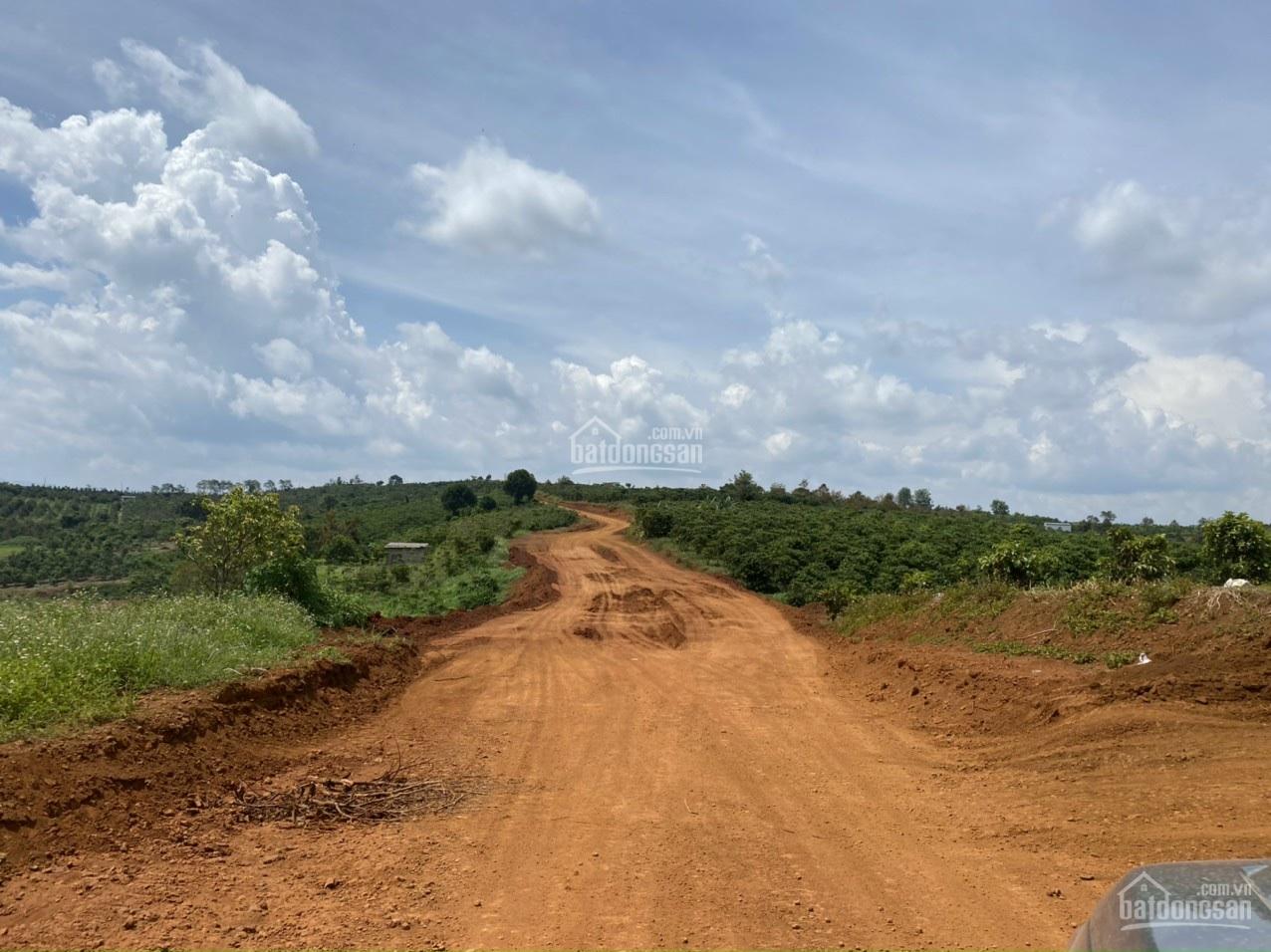 Bán đất rẫy Bảo Lộc - 2