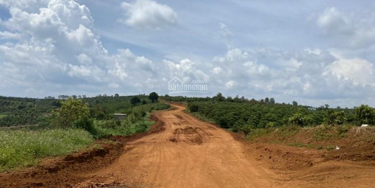 Bán đất rẫy Bảo Lộc khu vực nào tiềm năng, giá tốt?