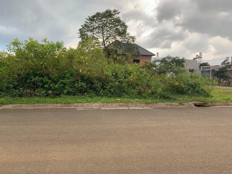 Bán đất phường 1 Bảo Lộc - 1