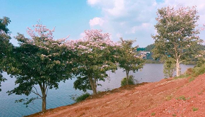 Bán đất Hồ Nam Phương - 4