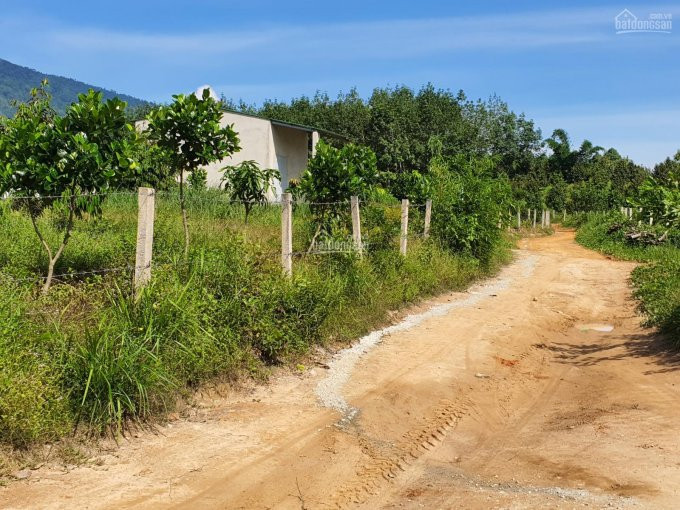 Bán đất rẫy Đạ Huoai - 2