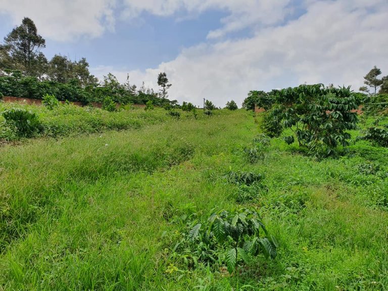 Đất vườn Lộc Phát - 1