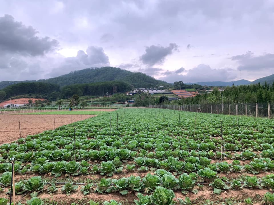 Mua bán đất nông nghiệp Đam Rông - 2