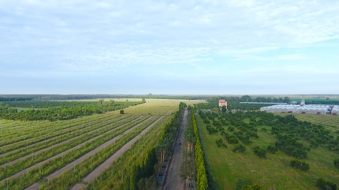 bán đất rẫy huyện Phú Giáo - 4