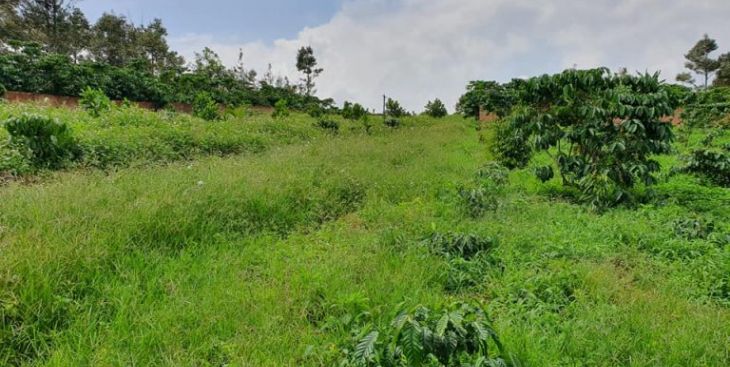 Bán đất vườn tại phường Lộc Phát, Bảo Lộc giá bao nhiêu?