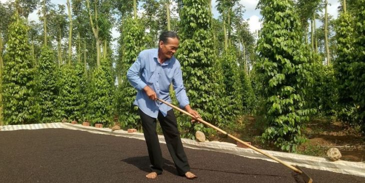 Xã Suối Cao, huyện Xuân Lộc, tỉnh Đồng Nai (thông tin đầy đủ nhất)