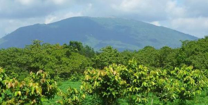 Tổng quan xã Xuân Hiệp, huyện Xuân Lộc, tỉnh Đồng Nai (chi tiết nhất)