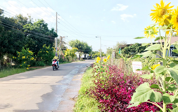 Xã Bảo Hòa, huyện Xuân Lộc - 3