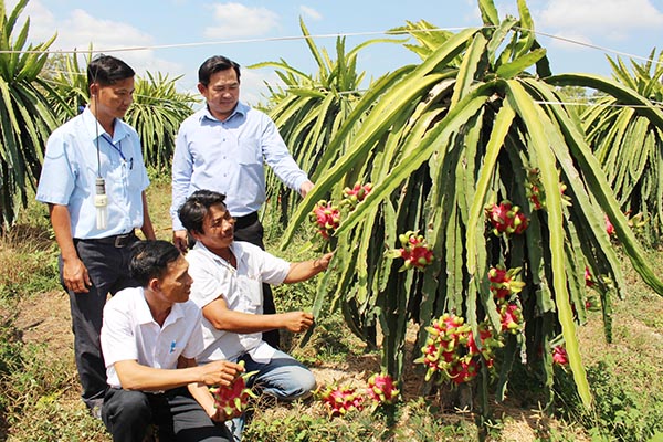 xã Lang Minh, huyện Xuân Lộc - 2