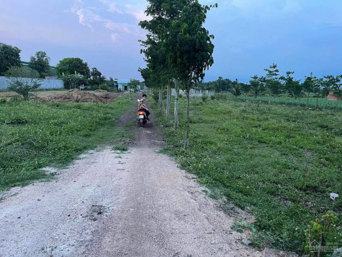 xã Xuân Phú, huyện Xuân Lộc - 3