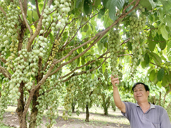 xã Xuân Phú, huyện Xuân Lộc - 2