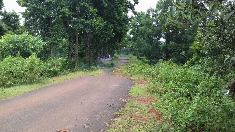 xã Xuân Trường, Xuân Lộc