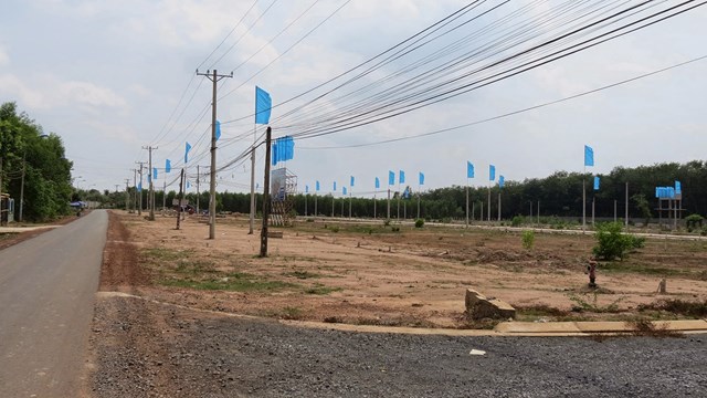 Khu công nghiệp Phước Bình, Đồng Nai - 3