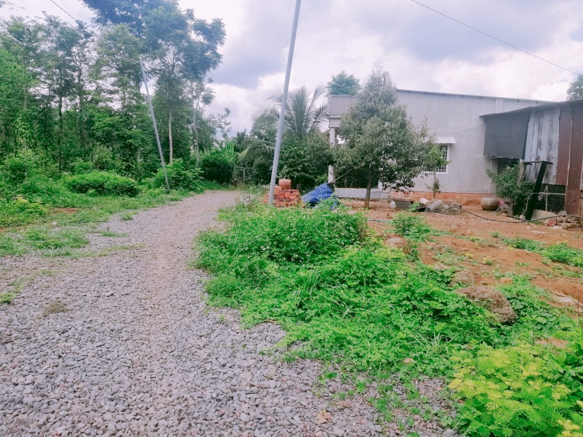 Bán đất xã Bàu Hàm 2, huyện Thống Nhất - 4