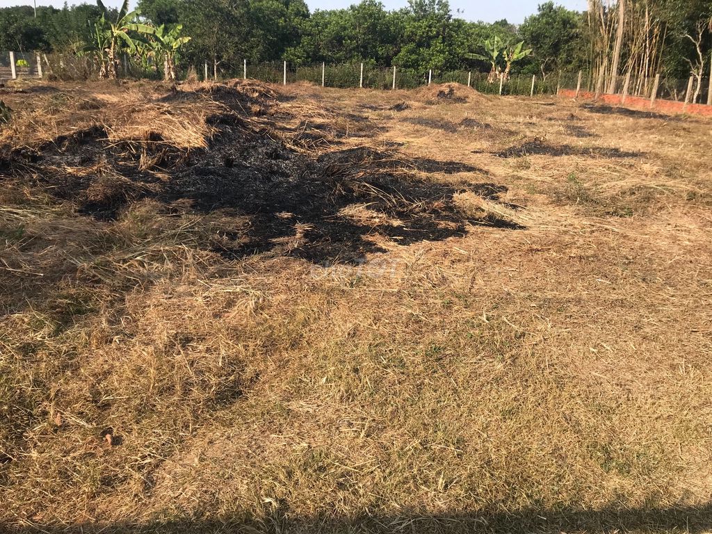 bán đất nông nghiệp huyện Thống Nhất - 3