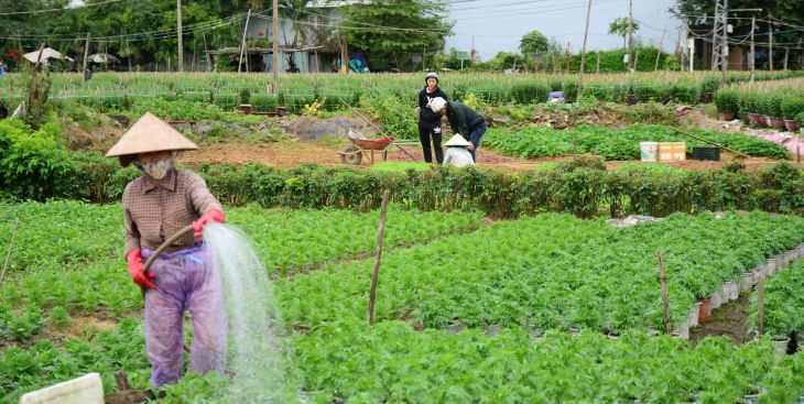 Bán đất nông nghiệp Thống Nhất, Đồng Nai: có nên mua lúc này?