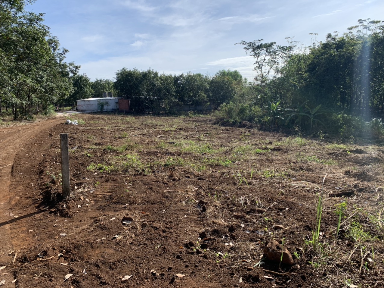 Bán đất rẫy xã Sông Trầu - 3