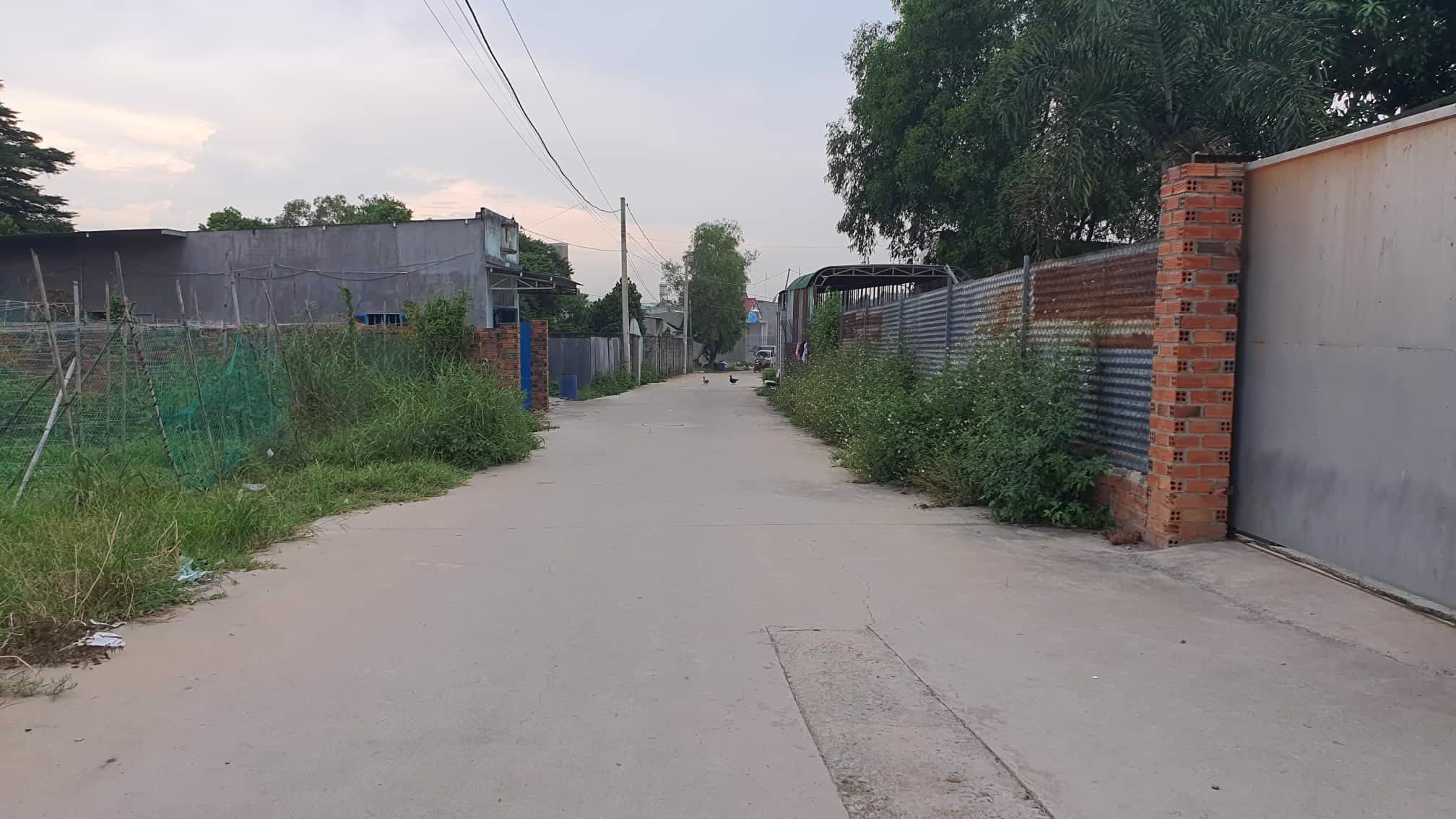 Bán đất xã Bình Minh, Trảng Bom - 4