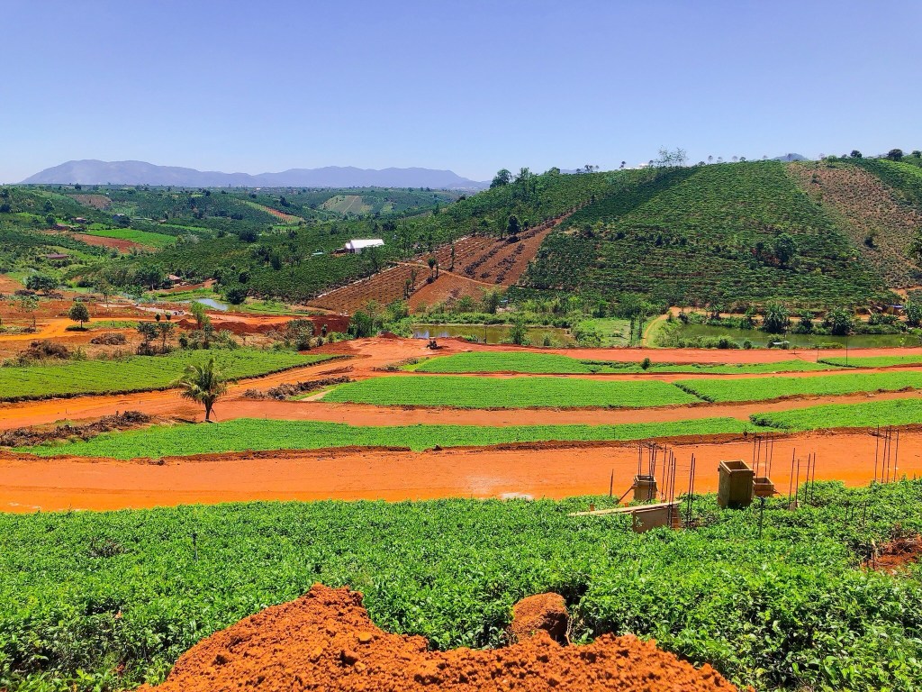 Bán đất đồi Bảo Lộc - 2