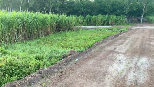 bán đất rẫy huyện Phú Giáo - 1