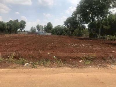 bán đất rẫy huyện Phú Giáo - 2