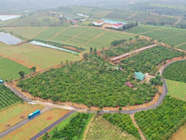Đất vườn Bảo Lộc -2