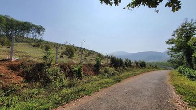 Bán đất nông nghiệp Madagui - 2