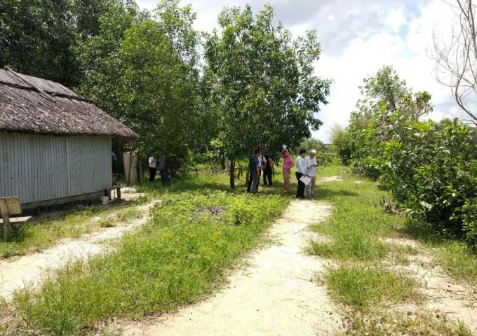 đất vườn Nhơn Trạch - 1