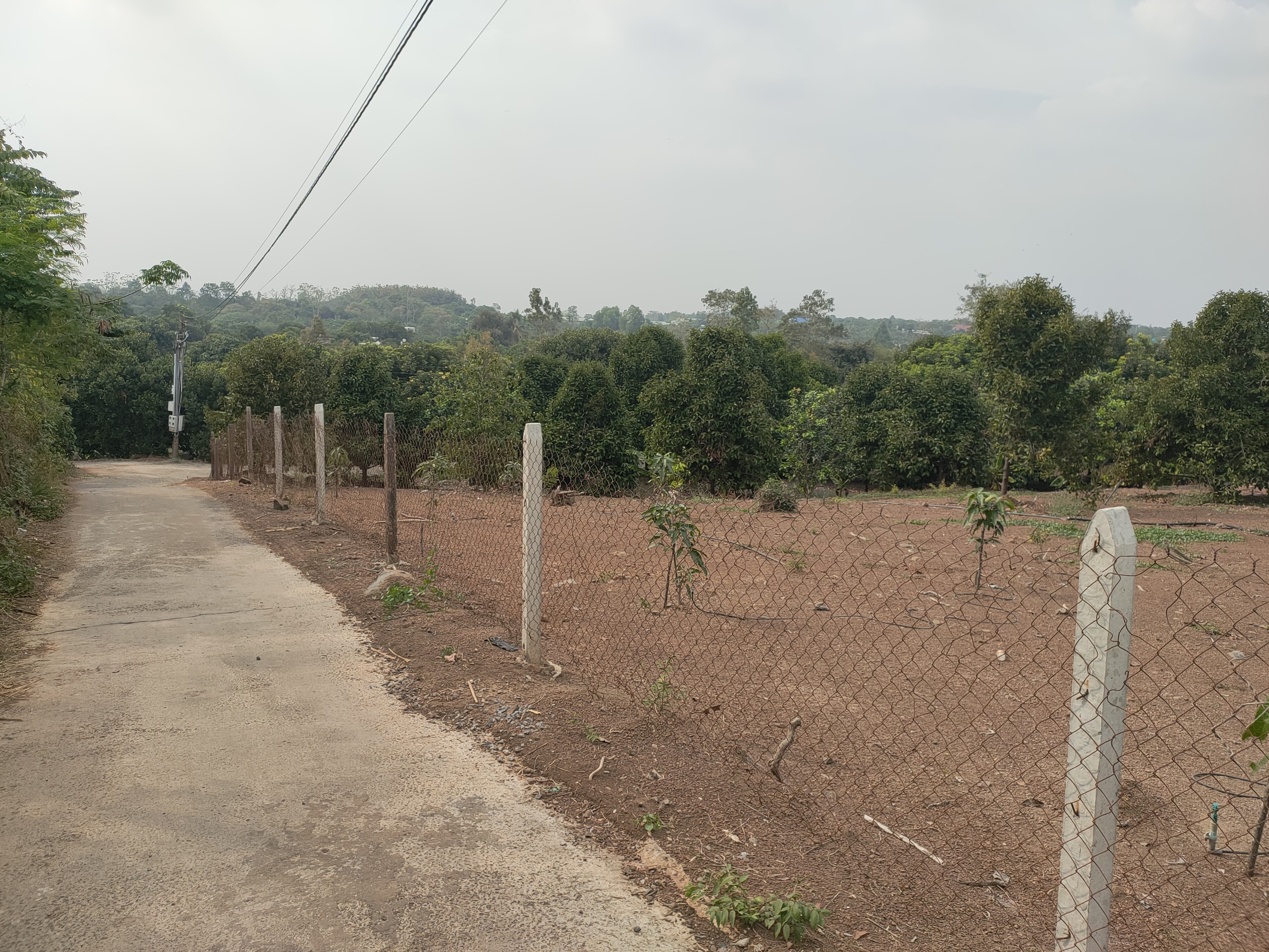 Bán đất rẫy huyện Xuân Lộc - 4