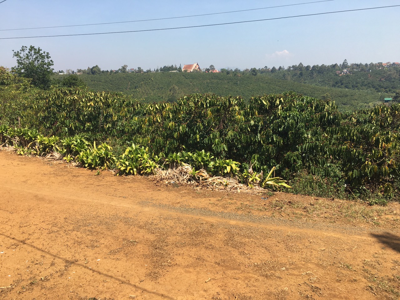 Bán đất rẫy huyện Xuân Lộc - 1