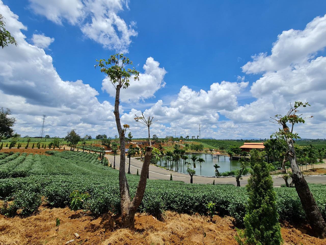 Bán đất rẫy huyện Xuân Lộc - 2