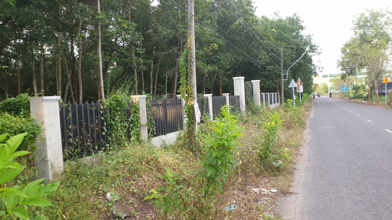 Bán đất xã Hòa Bình, Vĩnh Cửu - 4