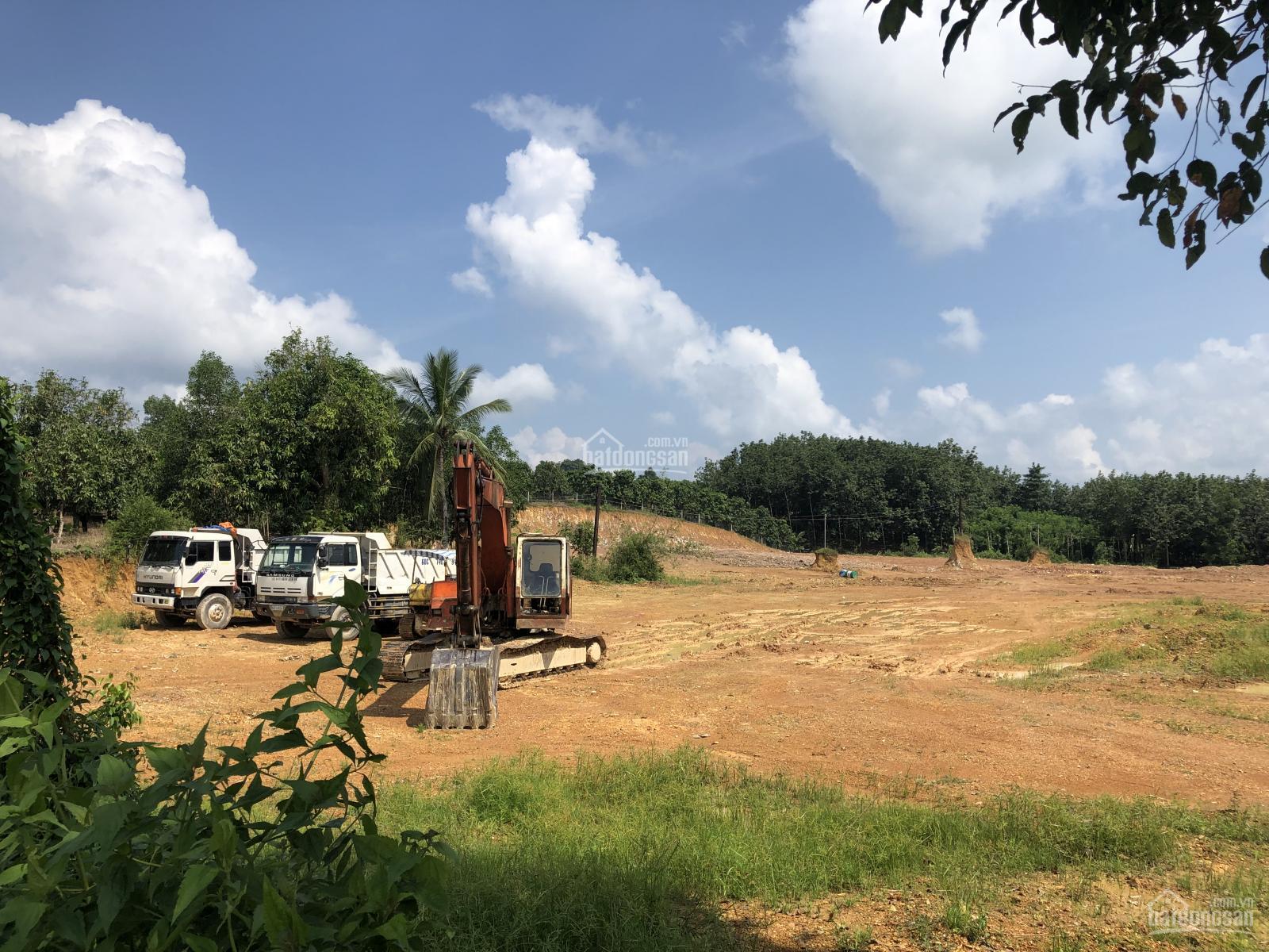 bán đất Phú Lý, Vĩnh Cửu - 2