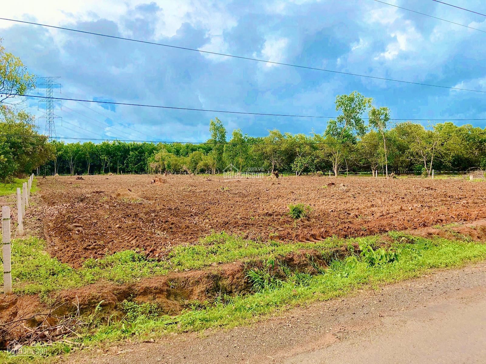 bán đất Phú Lý, Vĩnh Cửu - 3