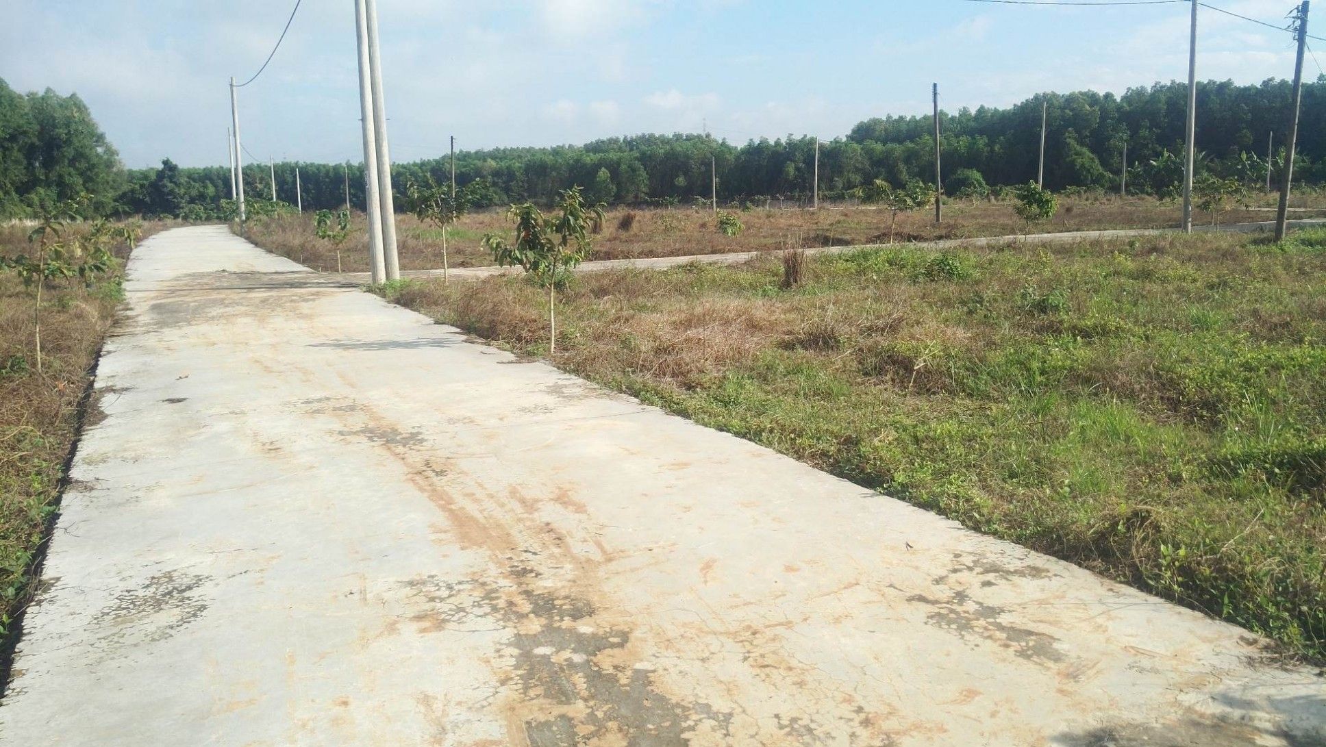 bán đất Vĩnh Cửu, Đồng Nai - 2