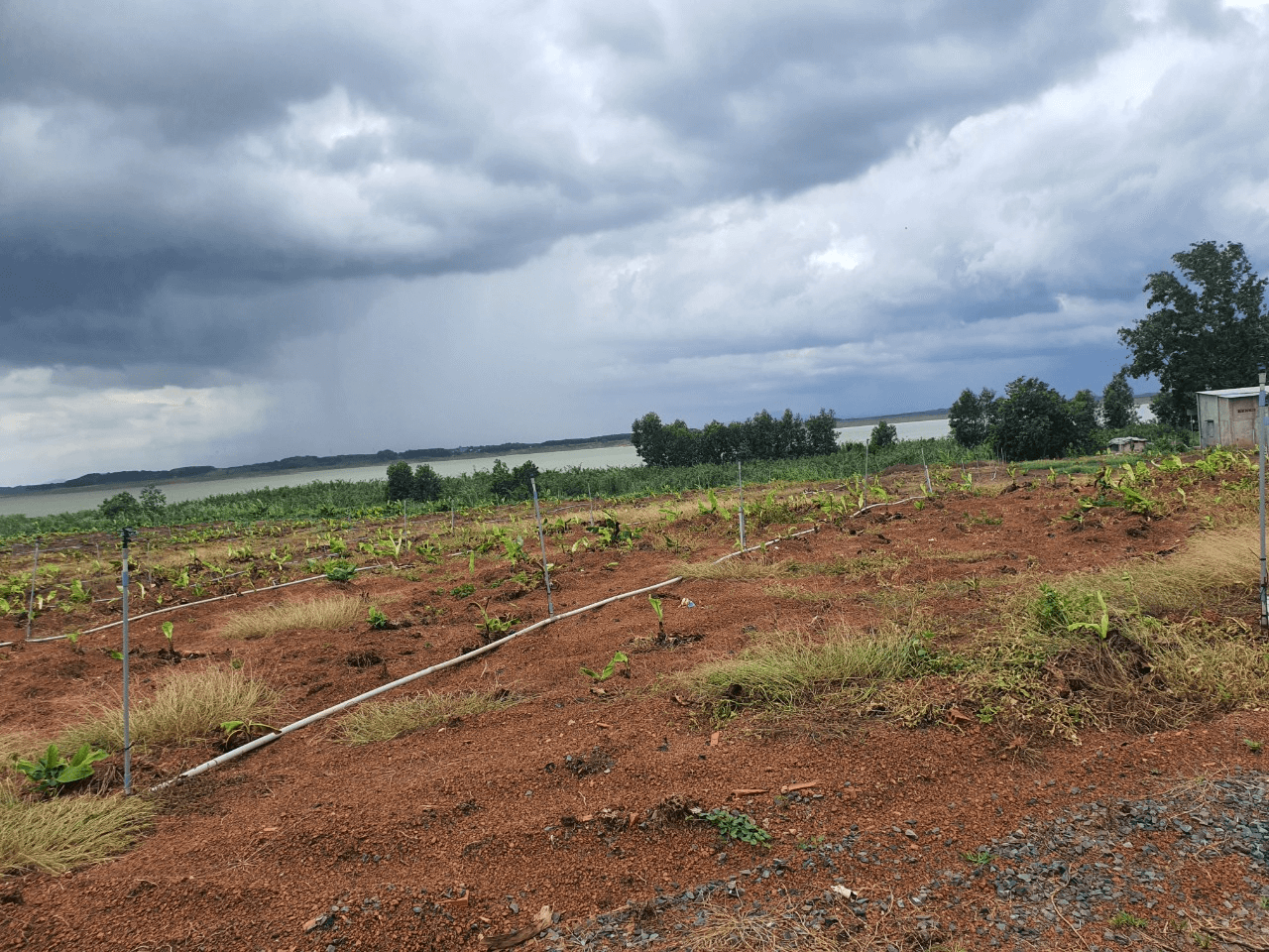 bán đất Vĩnh Cửu, Đồng Nai - 5