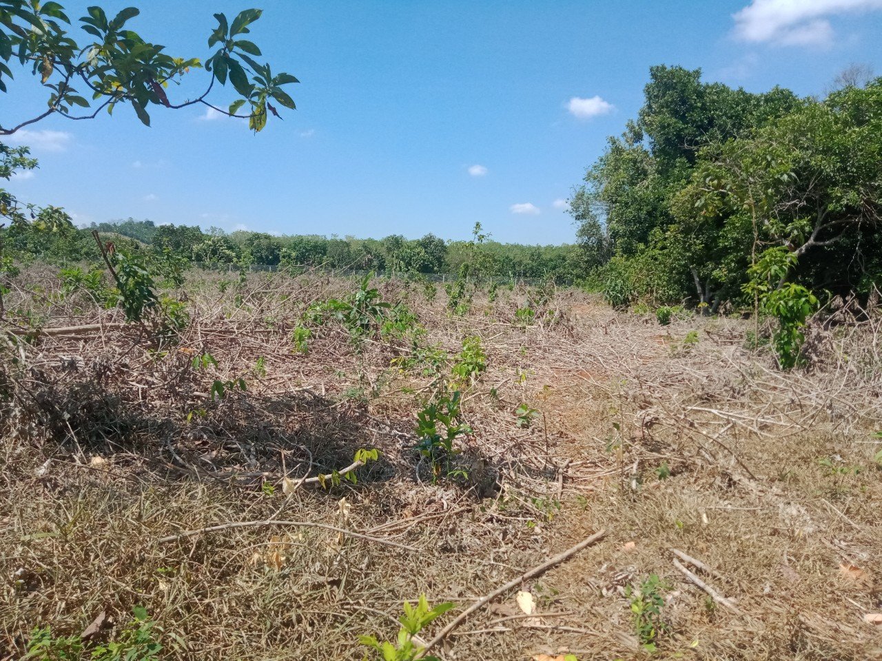 bán đất xã Mã Đà, Vĩnh Cửu - 2