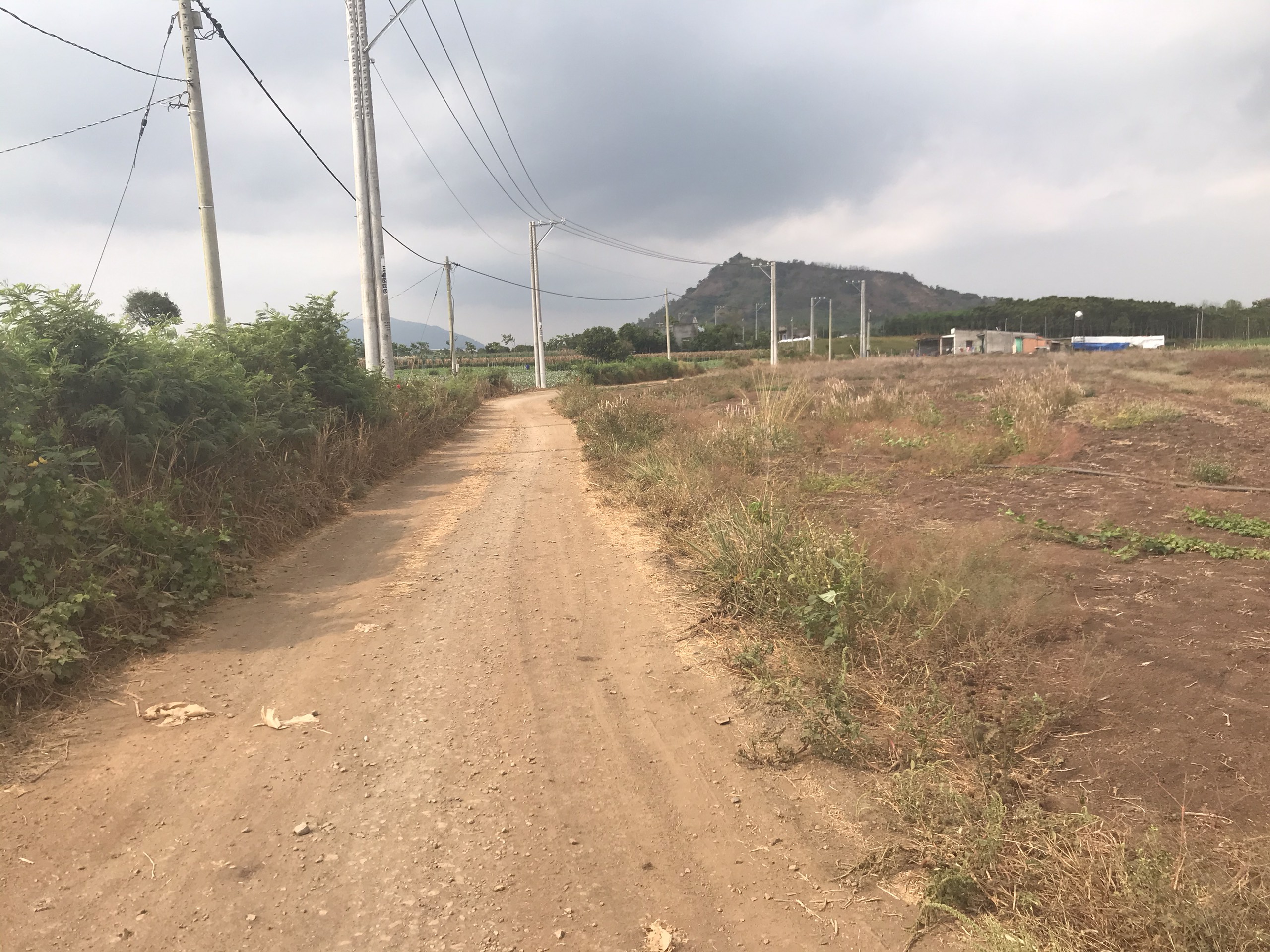 bán đất xã Tân Bình, Vĩnh Cửu - 5