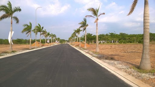 bán đất xã Tân Bình, Vĩnh Cửu - 2