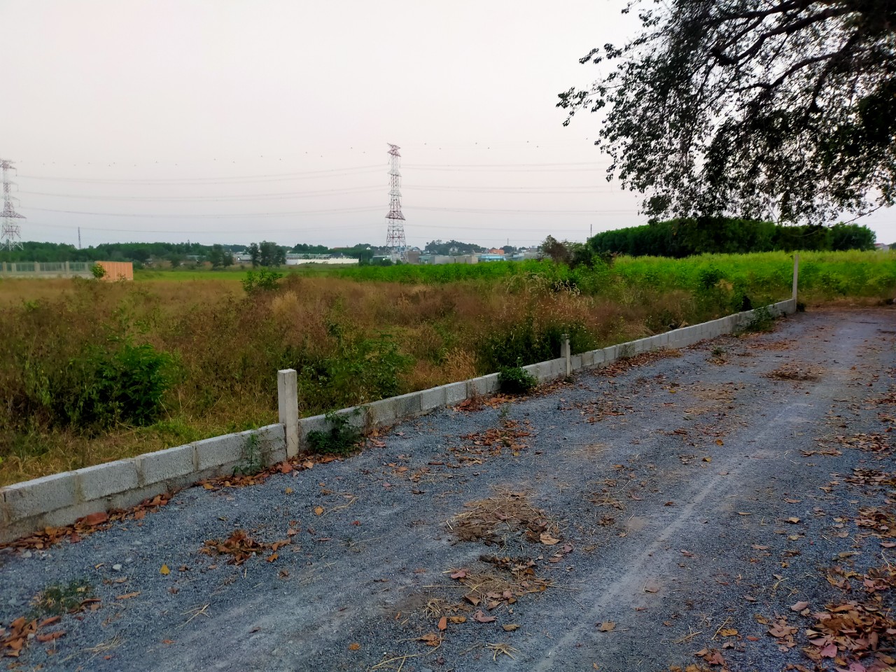 bán đất xã Thạnh Phú, Vĩnh Cửu - 3