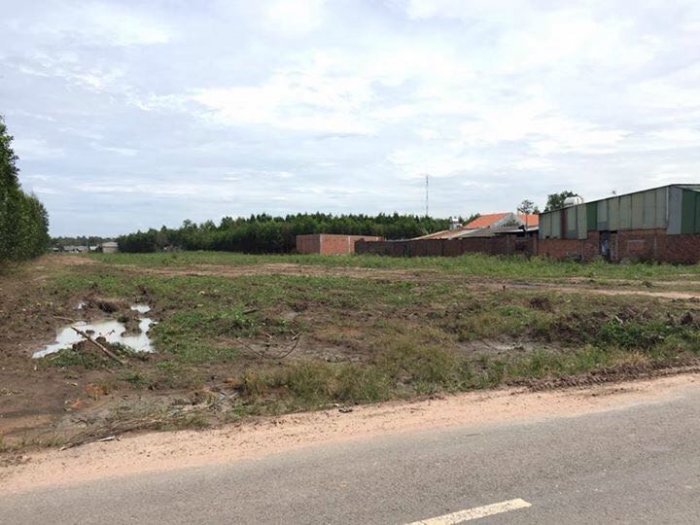 bán đất Long Phước, Long Thành - 2