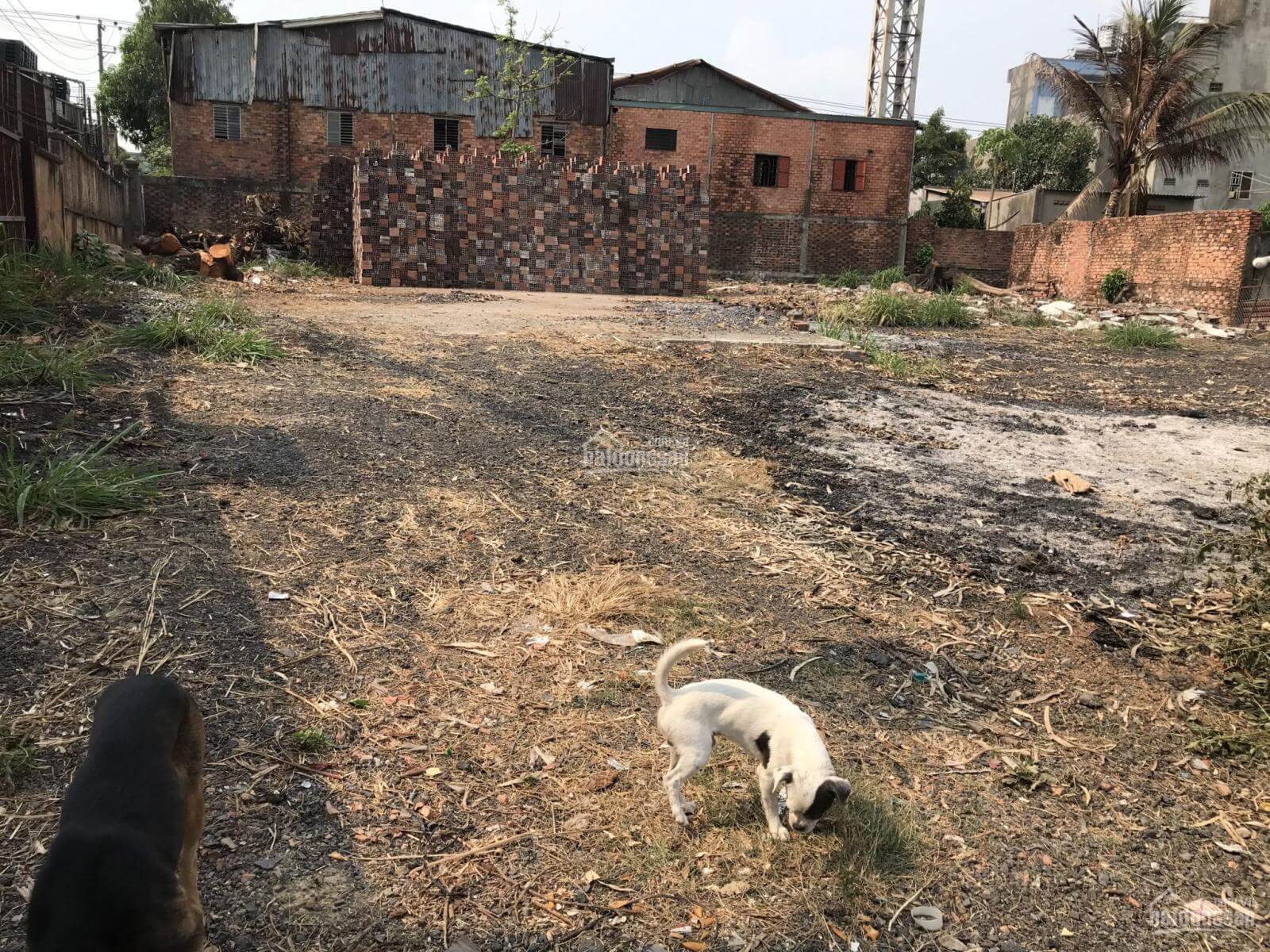 bán nhà xã An Hòa, Biên Hòa, Đồng Nai 2