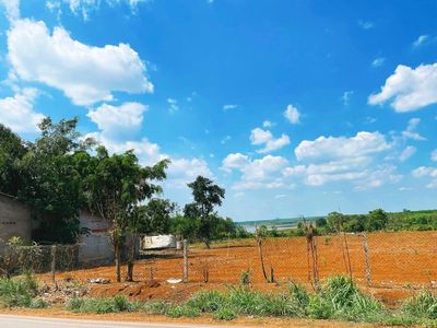 đất nền Bàu Cạn, Đồng Nai - 1