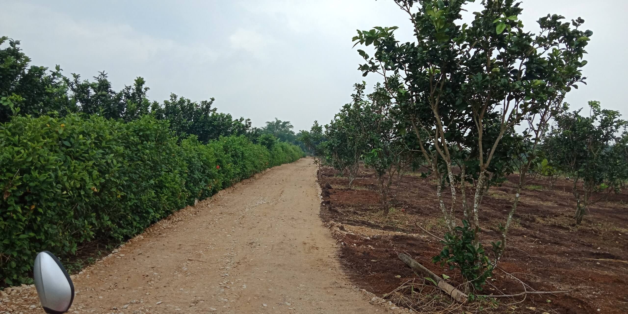 giá đất Tam Phước, Đồng Nai 3